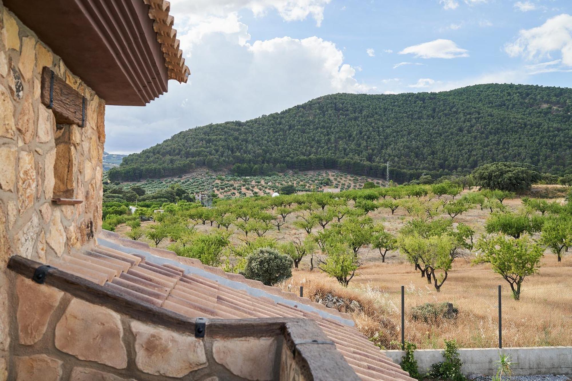 Villa Canela Illora Εξωτερικό φωτογραφία