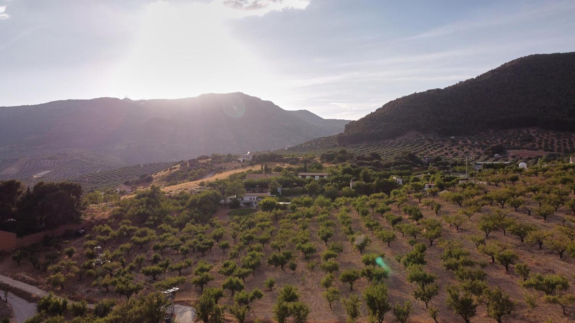 Villa Canela Illora Εξωτερικό φωτογραφία